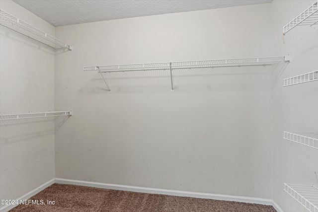 12082 BRANDON LAKE Drive, Jacksonville, FL 32258