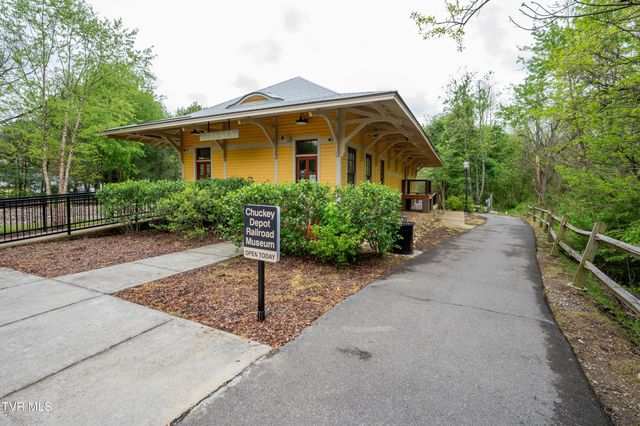 304 Depot Street, Jonesborough, TN 37659