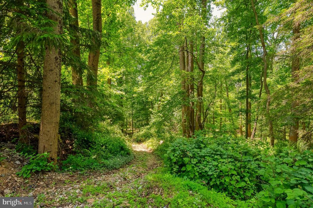 Image 53 of property listing at 305 CROWL RD, Westminster, MD 21158