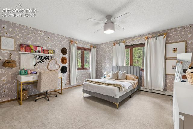 19690 W Top O The Moor Drive, Monument, CO 80132