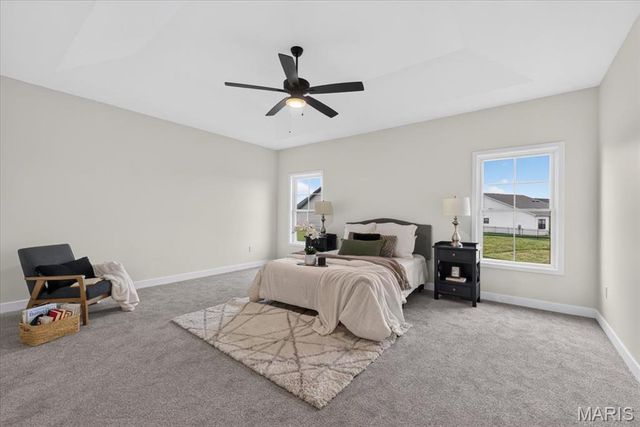604 Tea Olive Boulevard, O'fallon, IL 62269