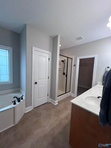 152 Morning Vista Drive, Madison, AL 35758