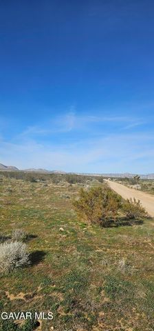 105th Street West, Rosamond, CA 93560