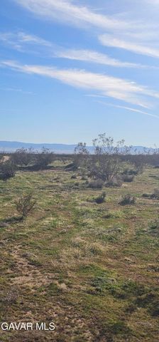 105th Street West, Rosamond, CA 93560