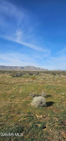 105th Street West, Rosamond, CA 93560