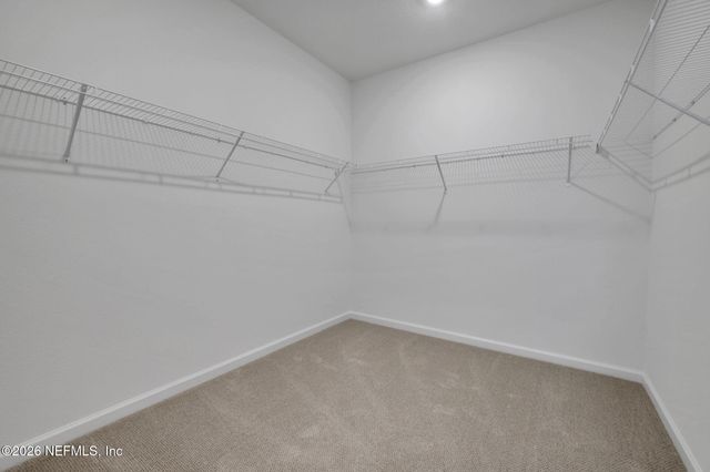 3217 WILLOWLEAF Lane, Green Cove Springs, FL 32043