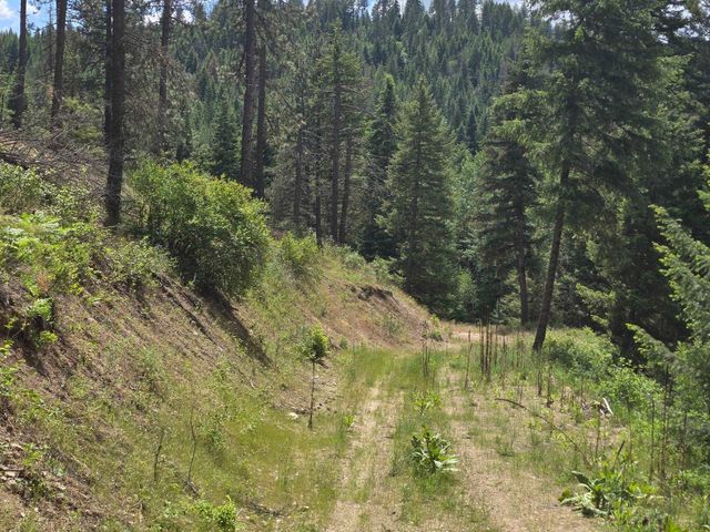 20300 E Mountain View Rd, Newman Lake, WA 99025