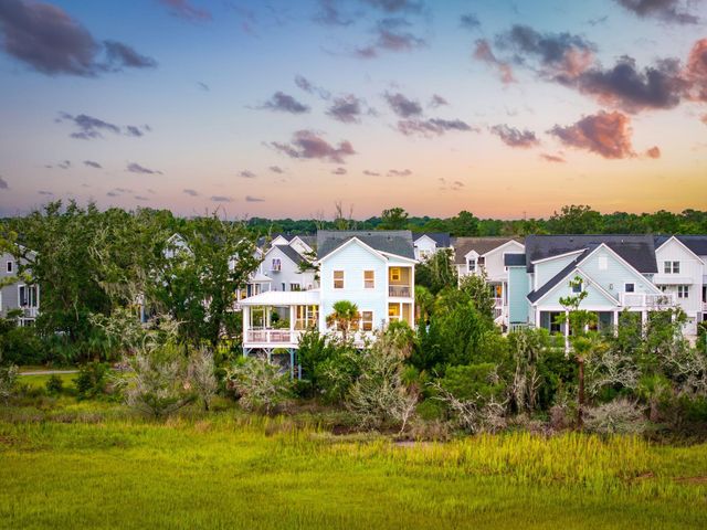 1538 Menhaden Lane, Mount Pleasant, SC 29466