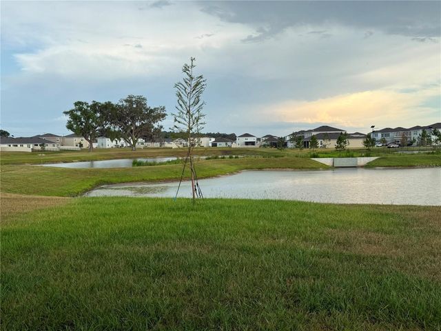 32955 OSPREY PEAK WAY, San Antonio, FL 33576