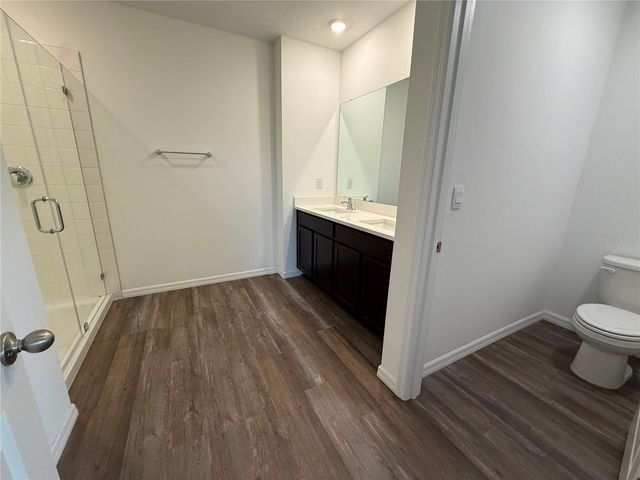 32955 OSPREY PEAK WAY, San Antonio, FL 33576