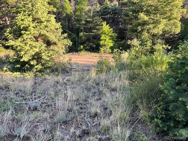 5693 Balleroy Rd, San Luis, CO 81152