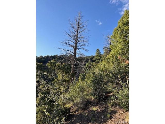 5693 Balleroy Rd, San Luis, CO 81152