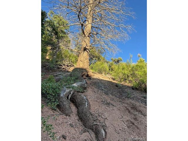 5693 Balleroy Rd, San Luis, CO 81152