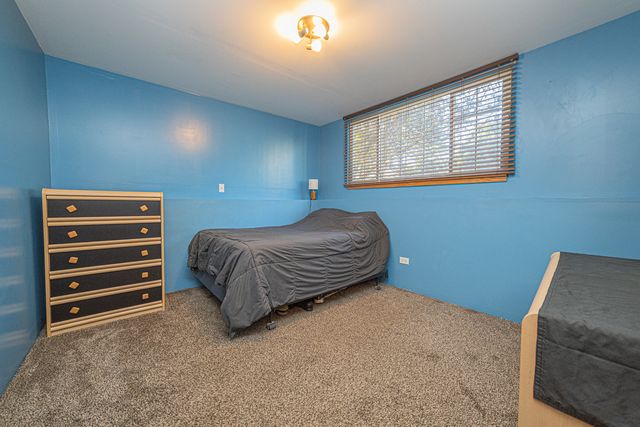 517 Silver Leaf Drive 517, Joliet, IL 60431