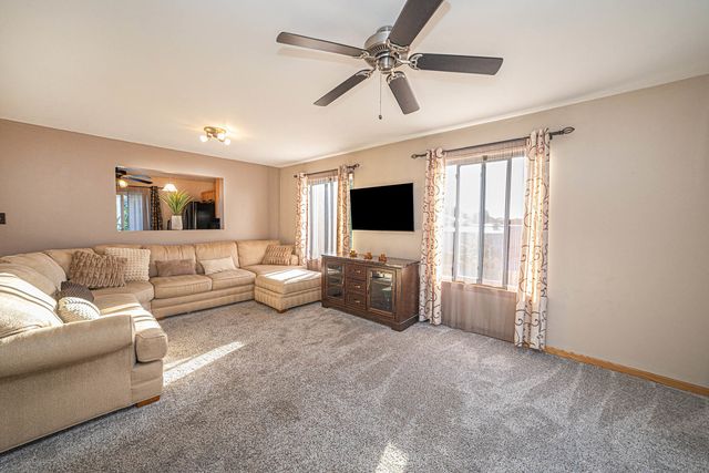 517 Silver Leaf Drive 517, Joliet, IL 60431