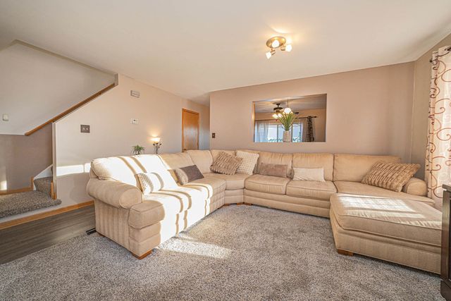 517 Silver Leaf Drive 517, Joliet, IL 60431