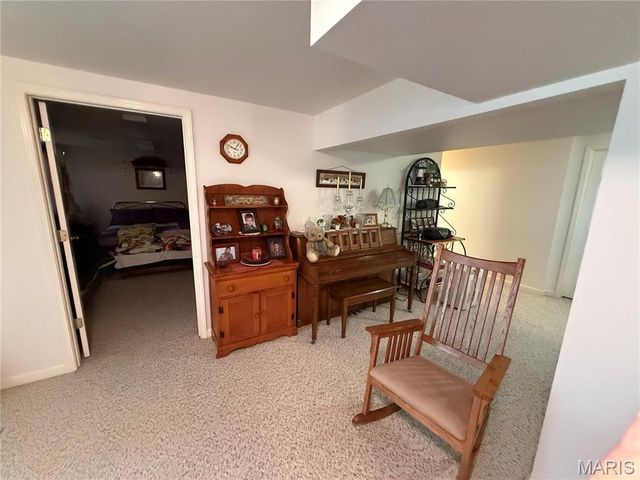 1018 Madison 271, Fredericktown, MO 63645