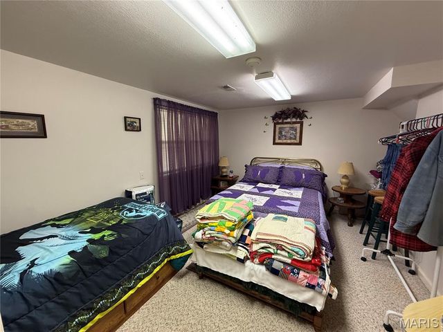 1018 Madison 271, Fredericktown, MO 63645