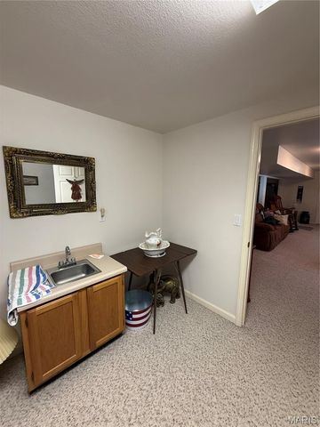 1018 Madison 271, Fredericktown, MO 63645