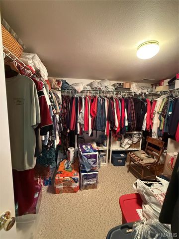 1018 Madison 271, Fredericktown, MO 63645