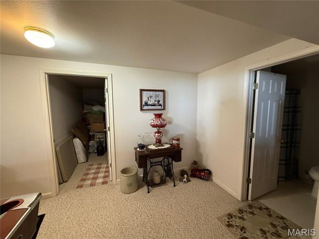 1018 Madison 271, Fredericktown, MO 63645