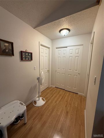 1018 Madison 271, Fredericktown, MO 63645