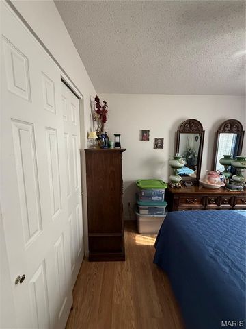 1018 Madison 271, Fredericktown, MO 63645