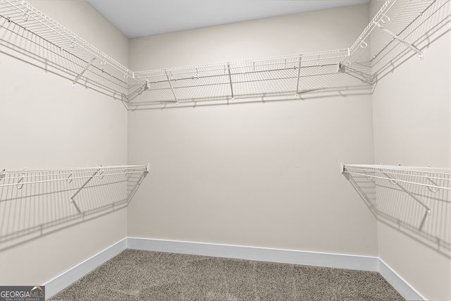 117 Black Birch Lane, Kathleen, GA 31047