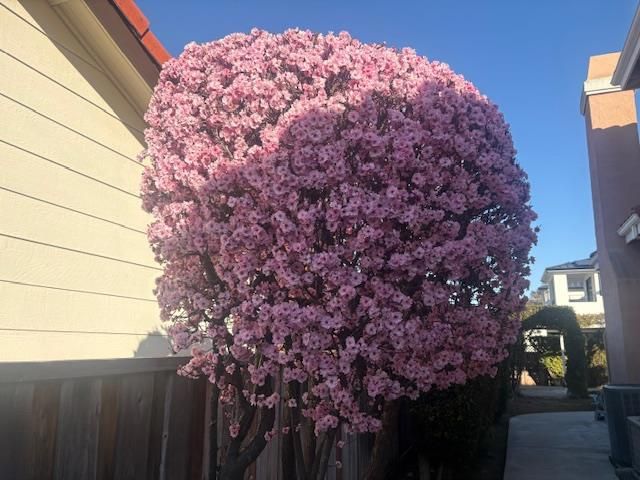 21031 Hazelbrook Drive, Cupertino, CA 95014