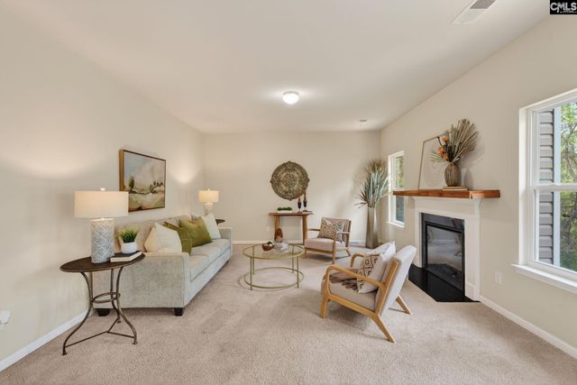 715 Soldier Gray Lane, Chapin, SC 29036