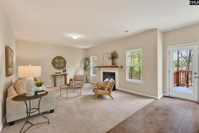 715 Soldier Gray Lane, Chapin, SC 29036