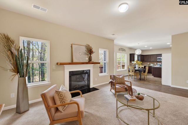 715 Soldier Gray Lane, Chapin, SC 29036