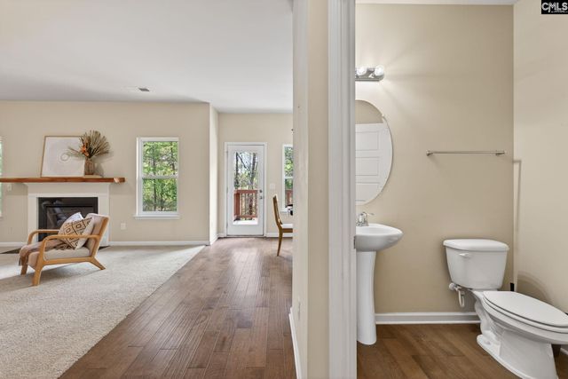 715 Soldier Gray Lane, Chapin, SC 29036