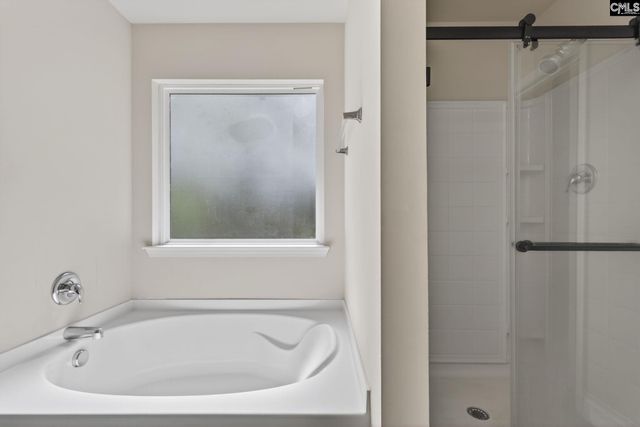 715 Soldier Gray Lane, Chapin, SC 29036