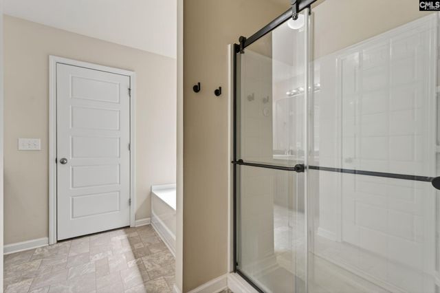 715 Soldier Gray Lane, Chapin, SC 29036