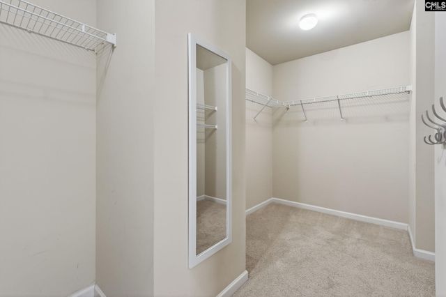 715 Soldier Gray Lane, Chapin, SC 29036