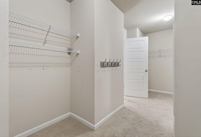 715 Soldier Gray Lane, Chapin, SC 29036