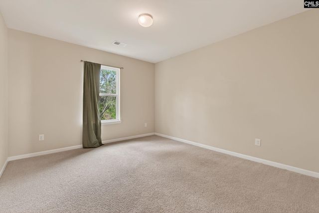 715 Soldier Gray Lane, Chapin, SC 29036