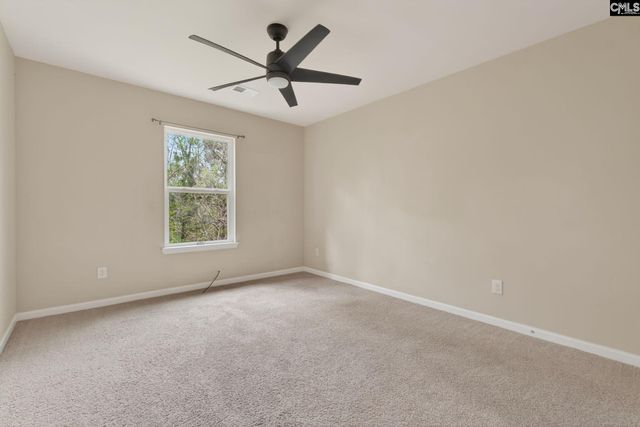 715 Soldier Gray Lane, Chapin, SC 29036