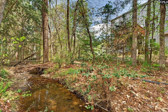 715 Soldier Gray Lane, Chapin, SC 29036