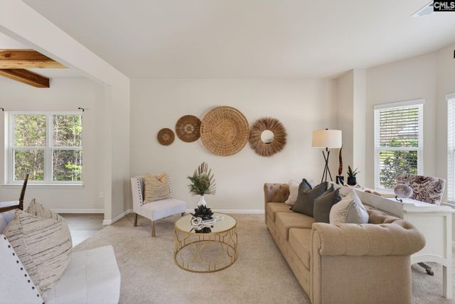 715 Soldier Gray Lane, Chapin, SC 29036