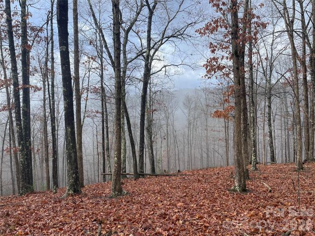 75 Wild Turkey Loop 31, Marshall, NC 28753