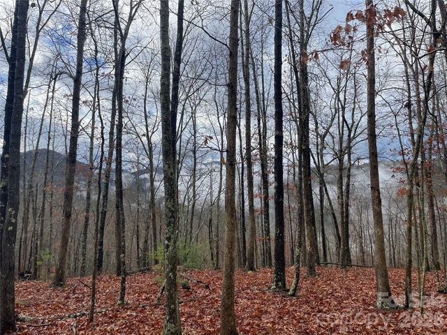 75 Wild Turkey Loop 31, Marshall, NC 28753