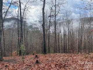 75 Wild Turkey Loop 31, Marshall, NC 28753