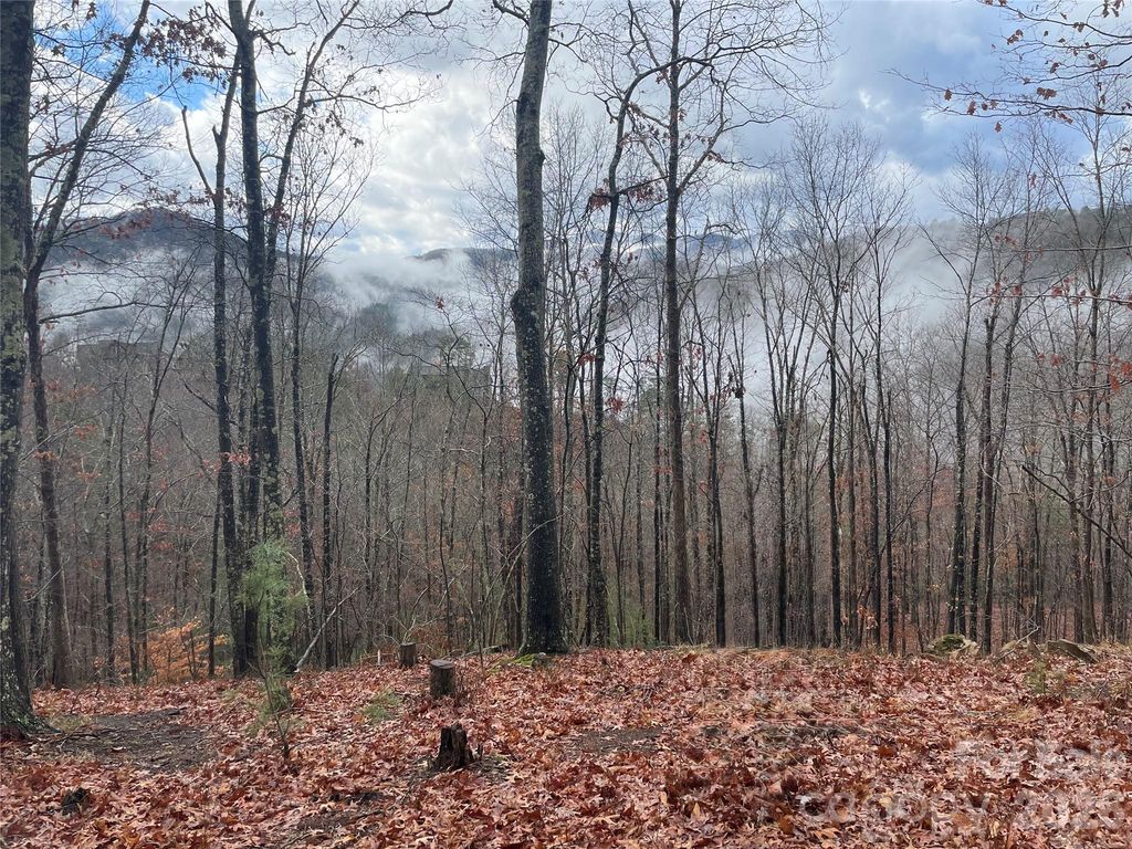 75 Wild Turkey Loop 31, Marshall, NC 28753