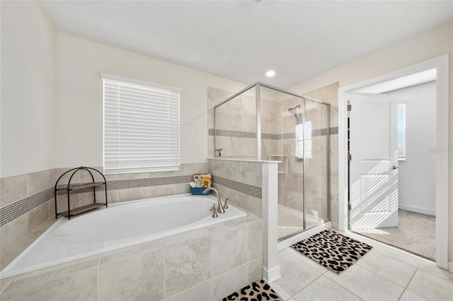 11059 LONGLEAF WOODS DRIVE, Orlando, FL 32832