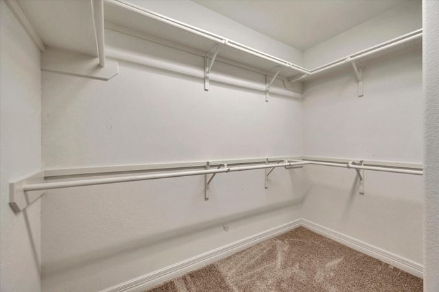 13420 Shellbark Way, La Marque, TX 77568