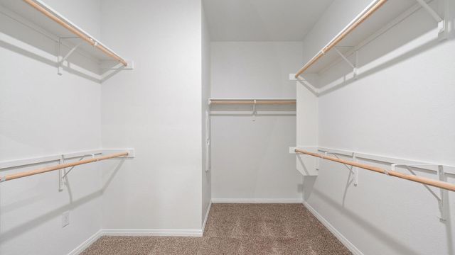 2537 Ophelia Levi LN, Round Rock, TX 78665