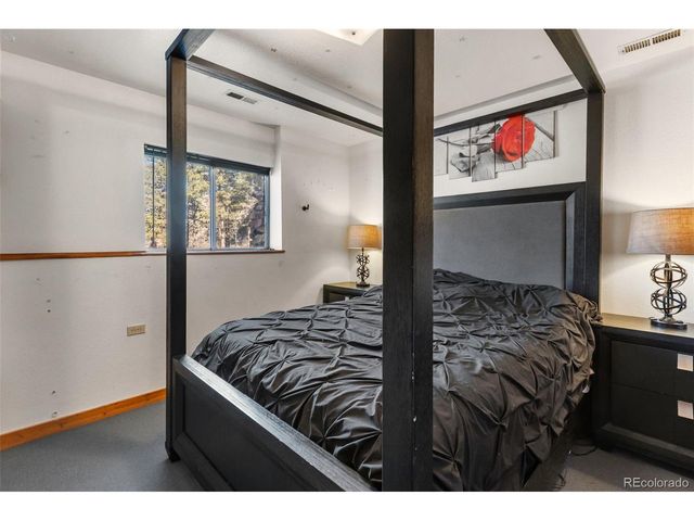 13469 Old Timer Trl, Woodland Park, CO 80863