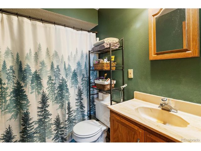 13469 Old Timer Trl, Woodland Park, CO 80863